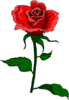 rosa.gif (3754 bytes)